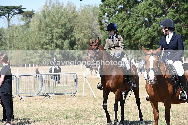 WJ6_8423 - Class 37a Best Loan Pony Ridden