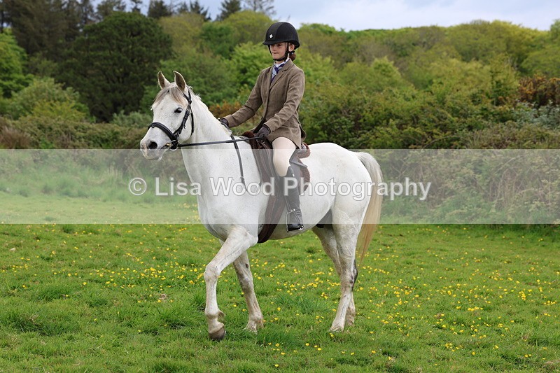 3E7A2120 - Class 11: Ridden Arab