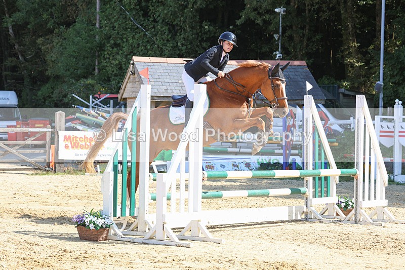 3E7A1050 - Class 4: Senior British Novice/90cm open