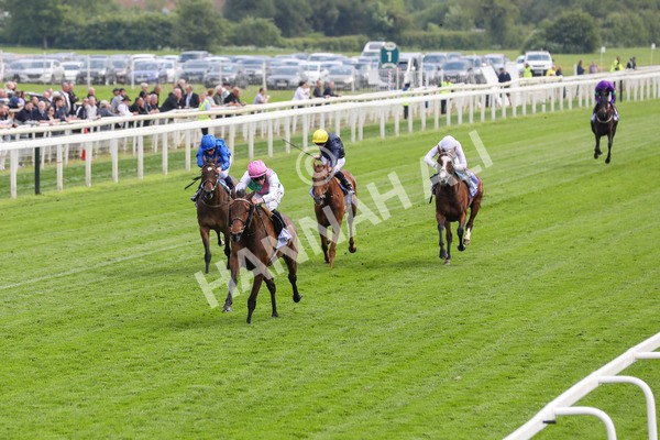 160524-Race 3-Bluestocking-1826 - Race 3 3.15pm  Al Basti Equiworld Dubai Middleton Fillies' Stakes