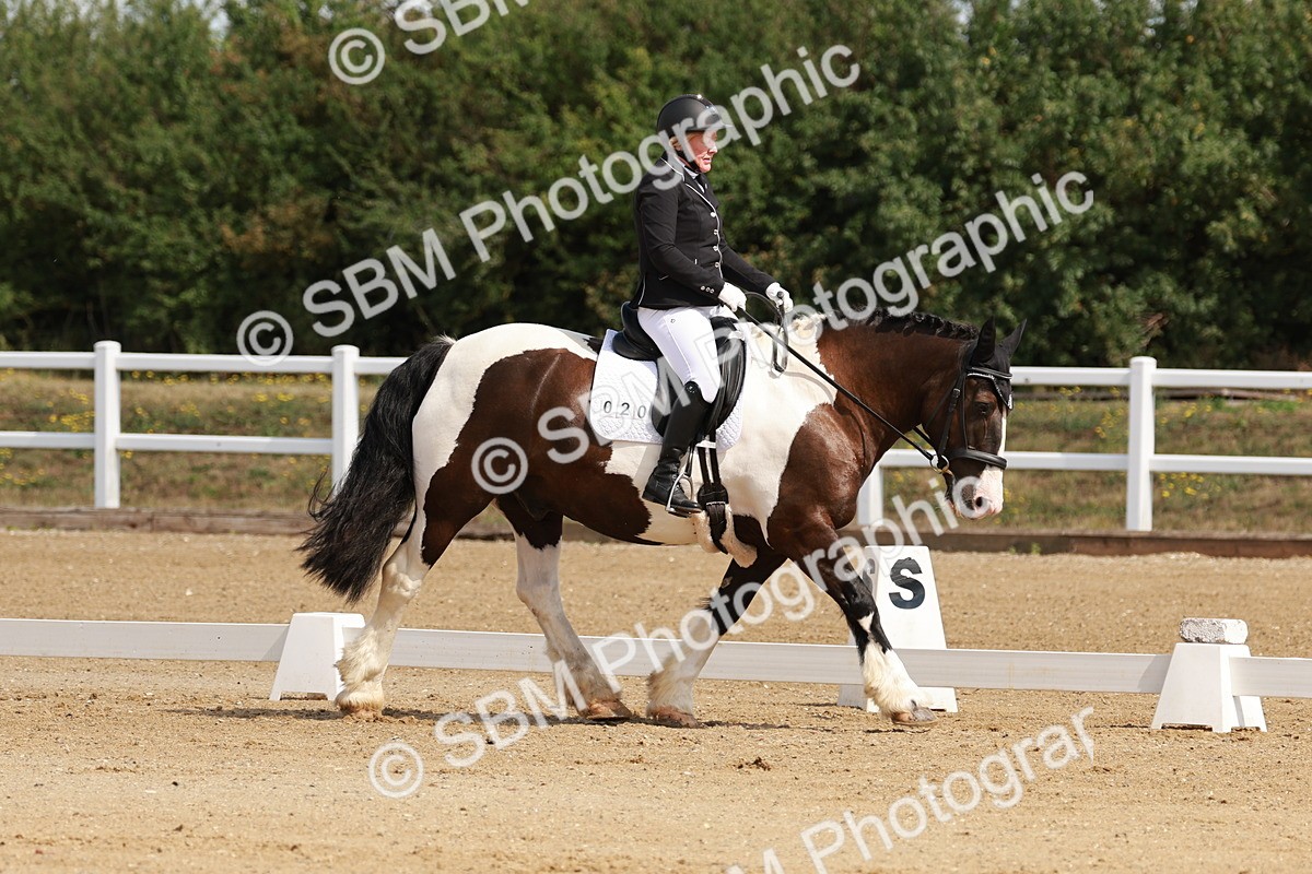 SBM_000445 - Class 2 - Prelim 6