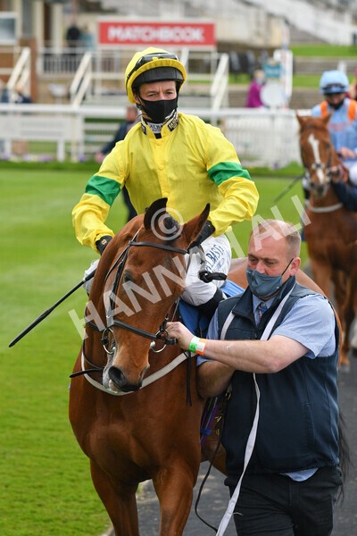 yr14052021r5-12 - Race 5 3.40pm The Jigsaw Sports Branding Handicap