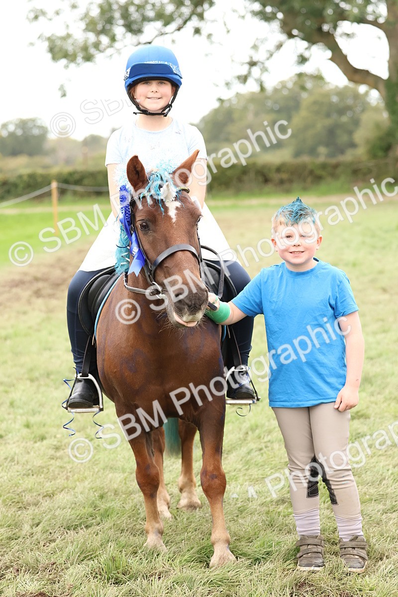 SBM_62168 - S37b - Best Unicorn