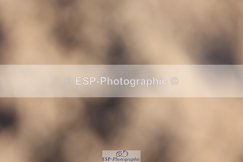 241201X-115526-00961 - Classes 06-09 Jnr 110-115-120-125