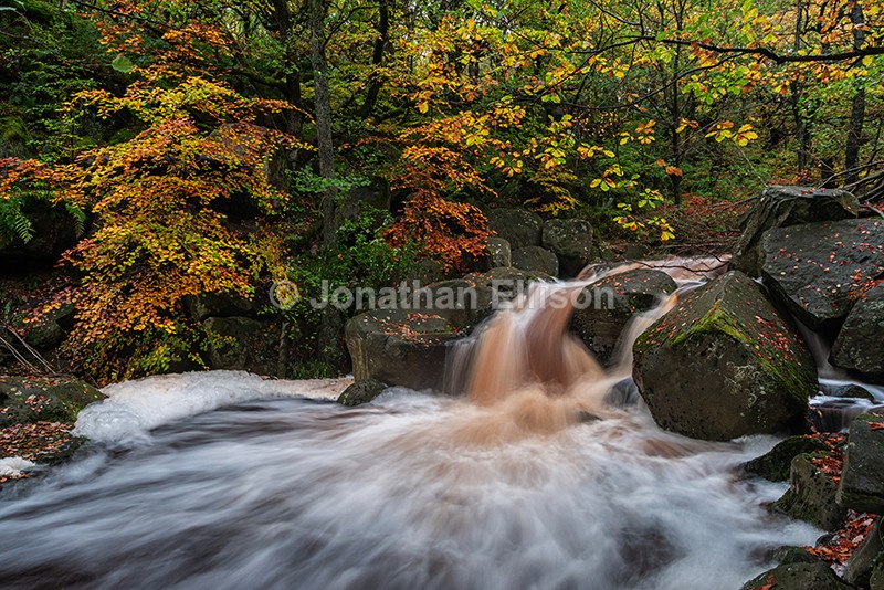 Padley Gorge - The Peak District
