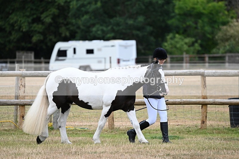 WJ6_4146 - Class 10 Coloured In-hand