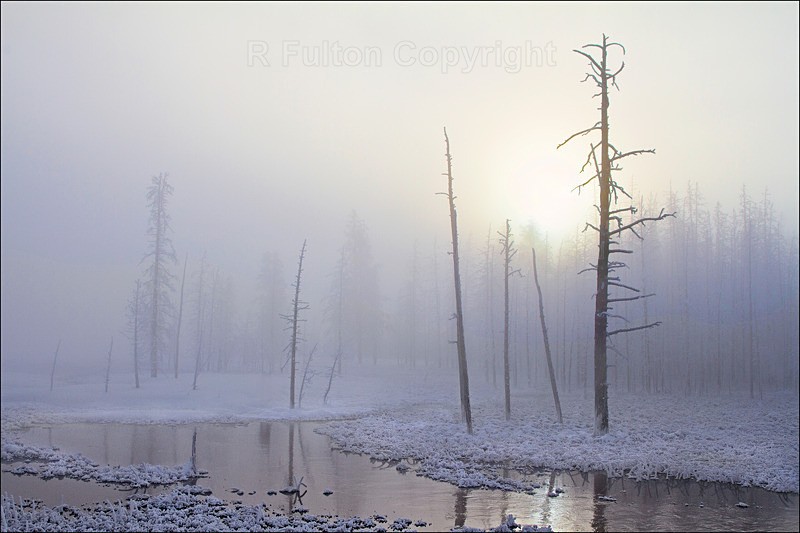Daybreak Tangle Creek - Yellowstone