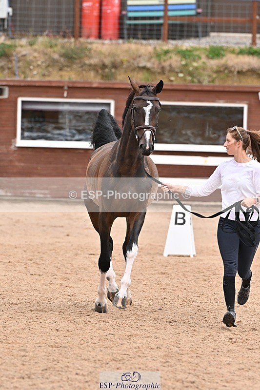 250716-144138-01314 - Trot Up 2.30 to 3.30