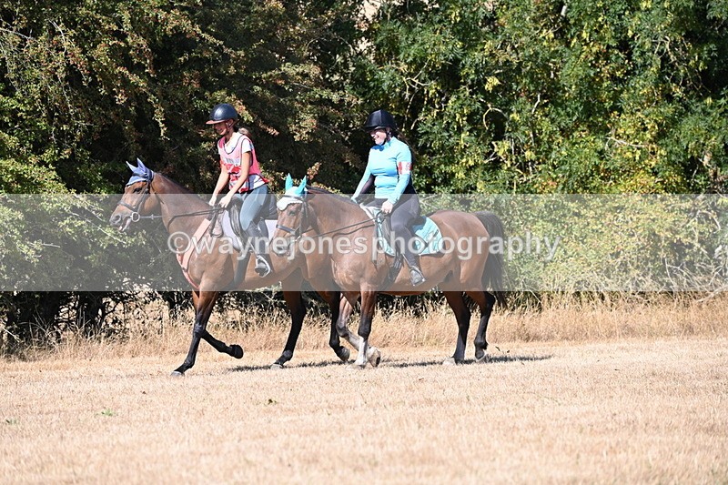 WJ6_8295 - Time 11:24 to 11:29