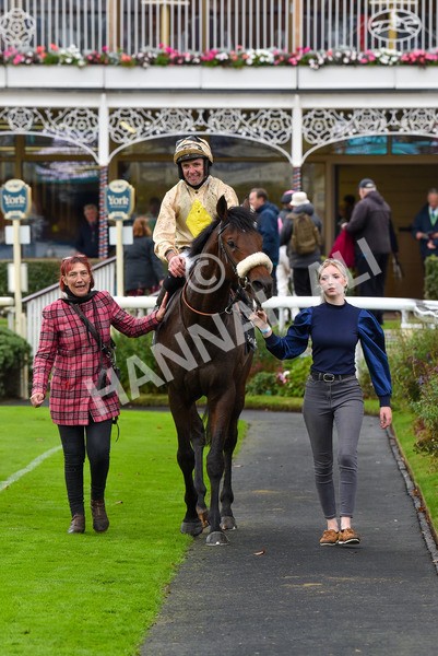 131023-Race 3-Apiarist-9455 - Race 3 3.15pm British EBF £100,000 Final