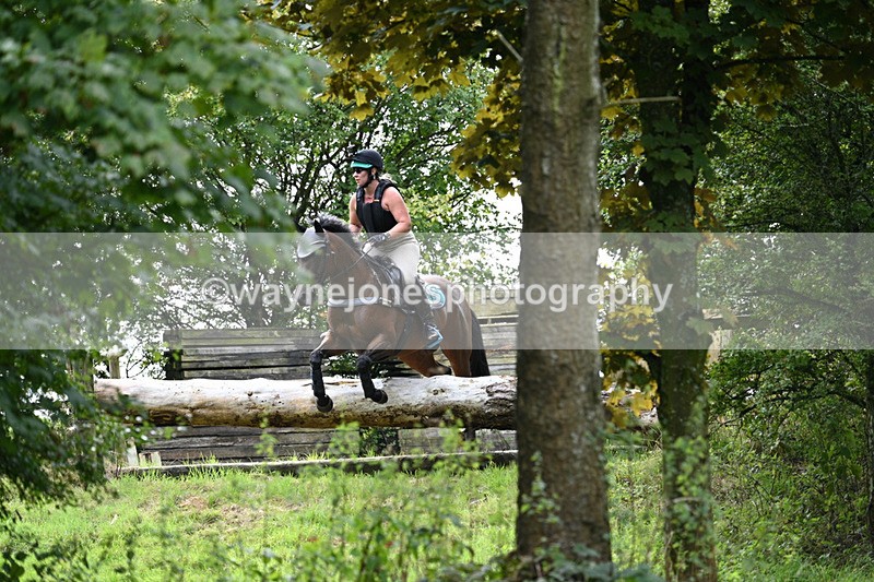 WJ7_8129 - Time 14:11 to 14:30