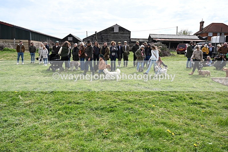 WJ6_8220 - Class 4 Prettiest Bitch