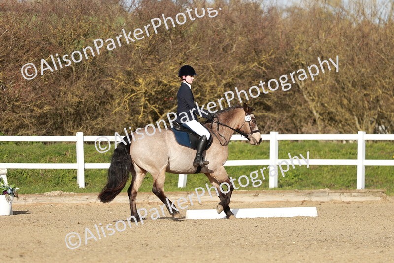 20260314-5384 - DR4 - Prelim 2