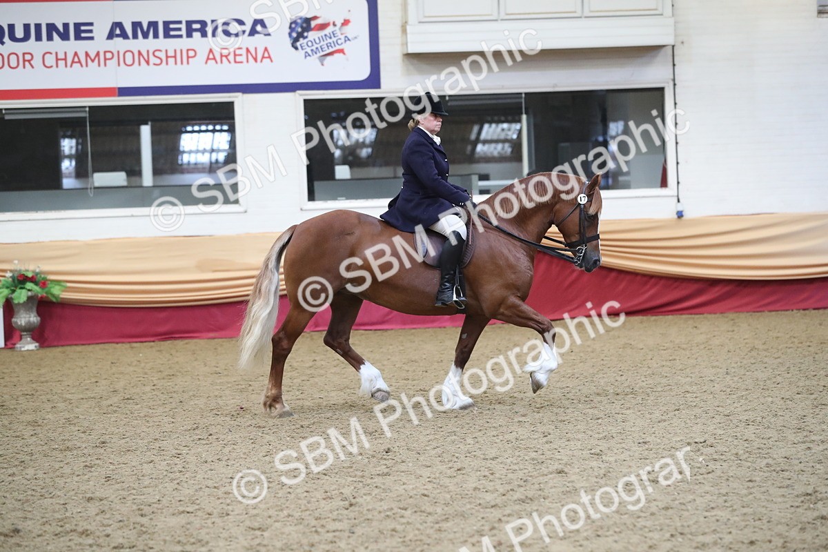 SBM_17190 - M&M Supreme Final Champ