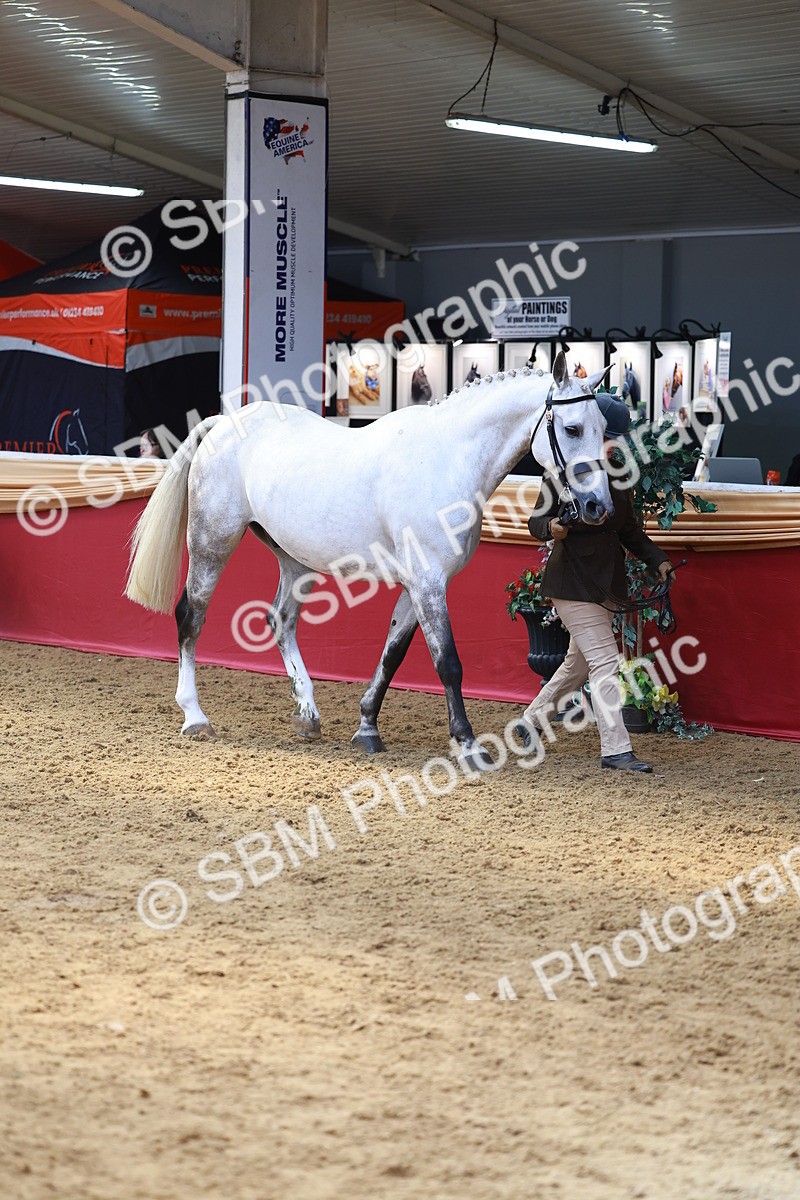 SBM_04095 - Class 9R - IH Pre-Vet
