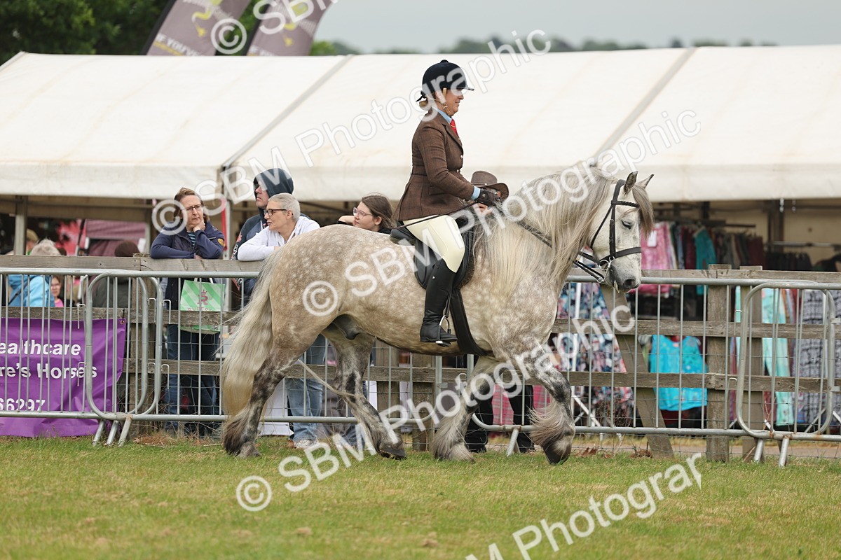 SBM_08926 - Class 78-80 - Ridden M&M Non Welsh Ponies