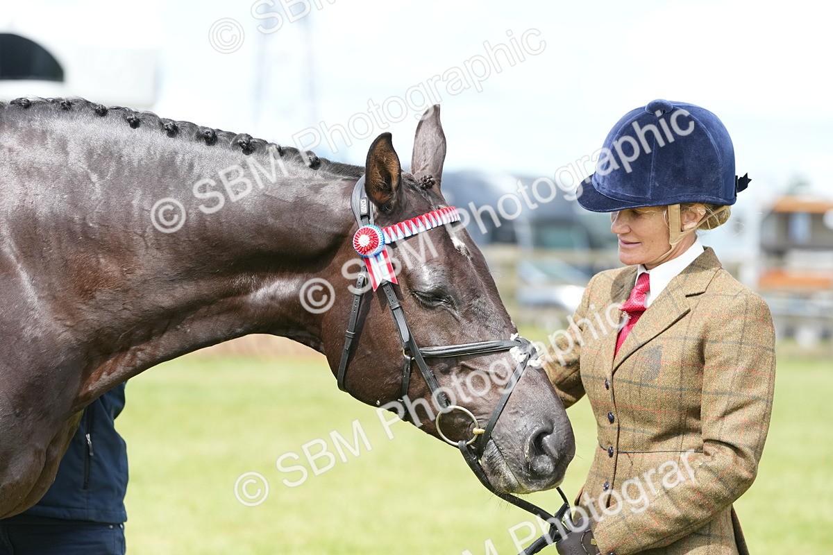 SBM_12940 - Class 99 - RIHS SEIB Working Show Horse