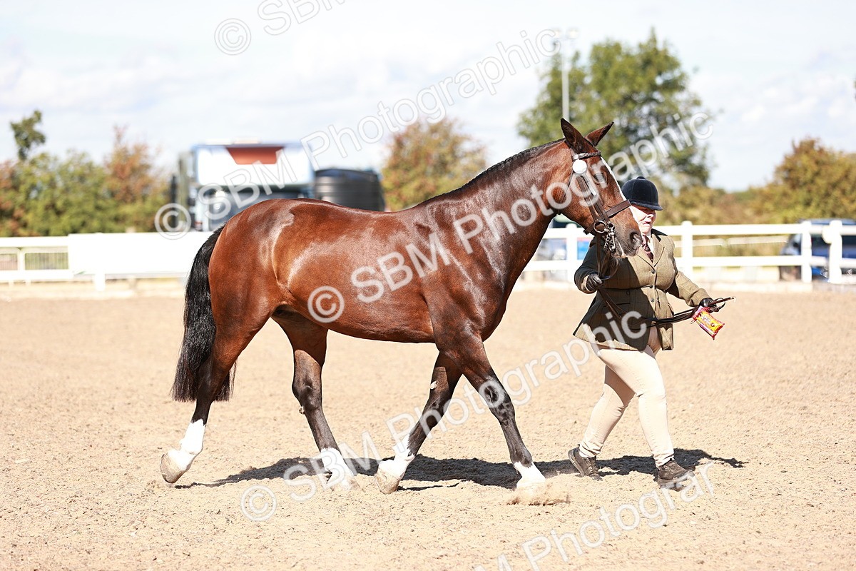 SBM_13256 - Class 405 - IH Show Cob