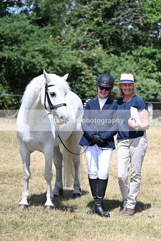 WJ7_2467 - Class 5a Most Handsome Gelding in hand (above 14.2hh)