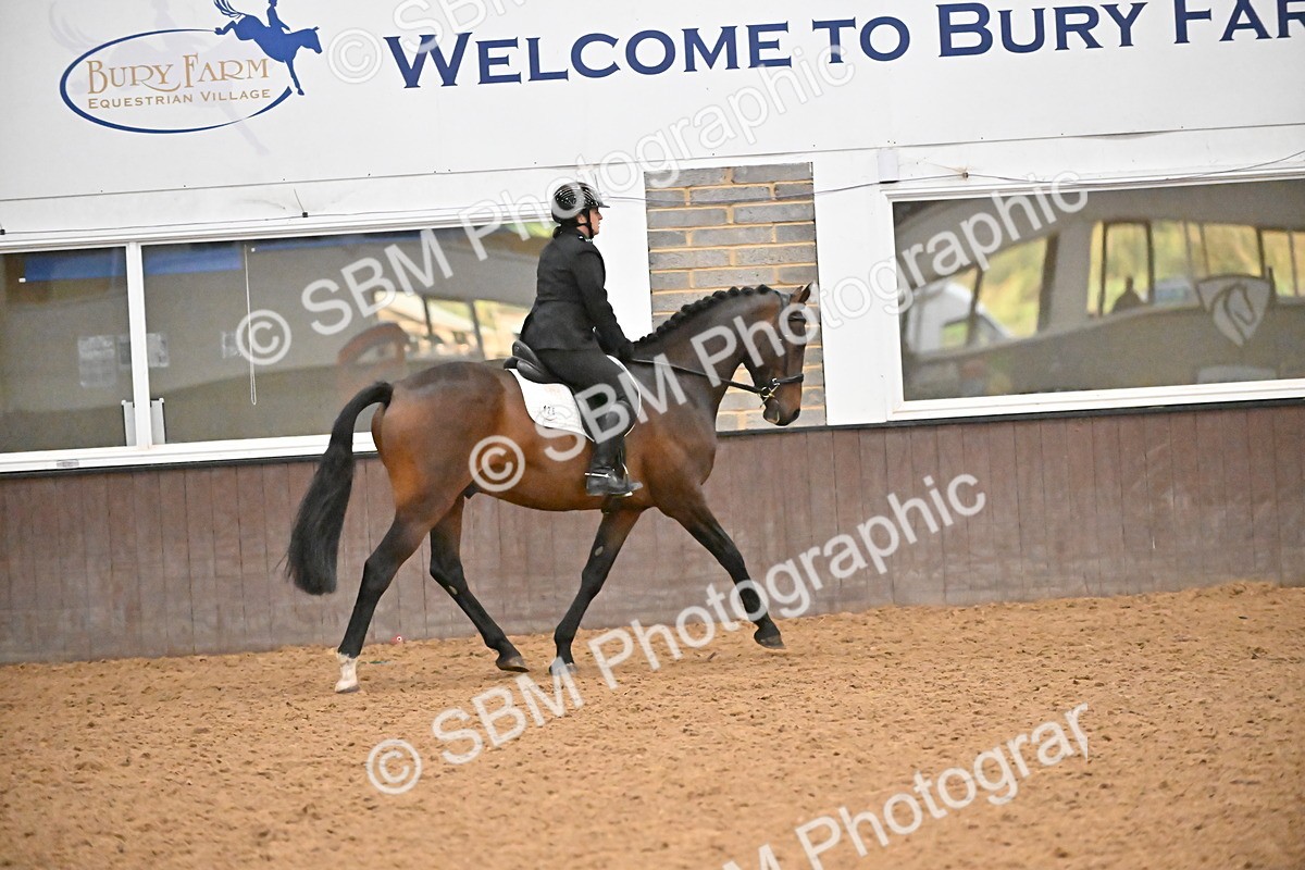 SBM_002960 - Class 37,38 - UKPSAF Performance Horse & Pony