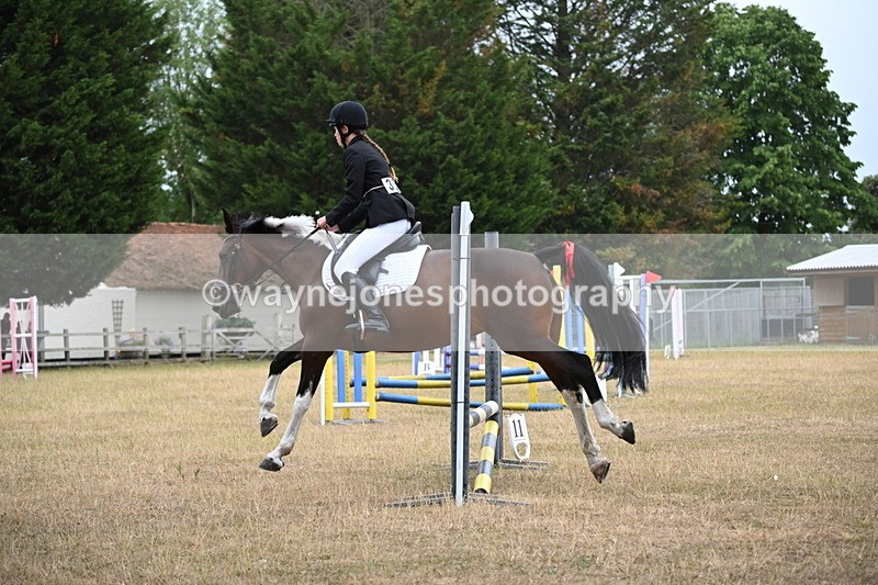 WJ6_0057 - Class 13 Novice Jumping 60cm