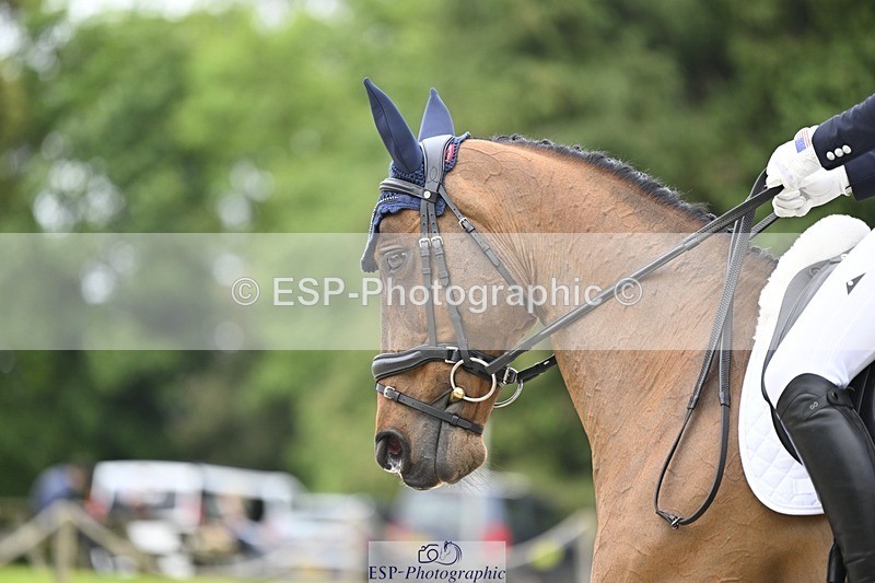 240523-144944-05113 - 442-FERNHILL_ZORO-Cassie_Sanger