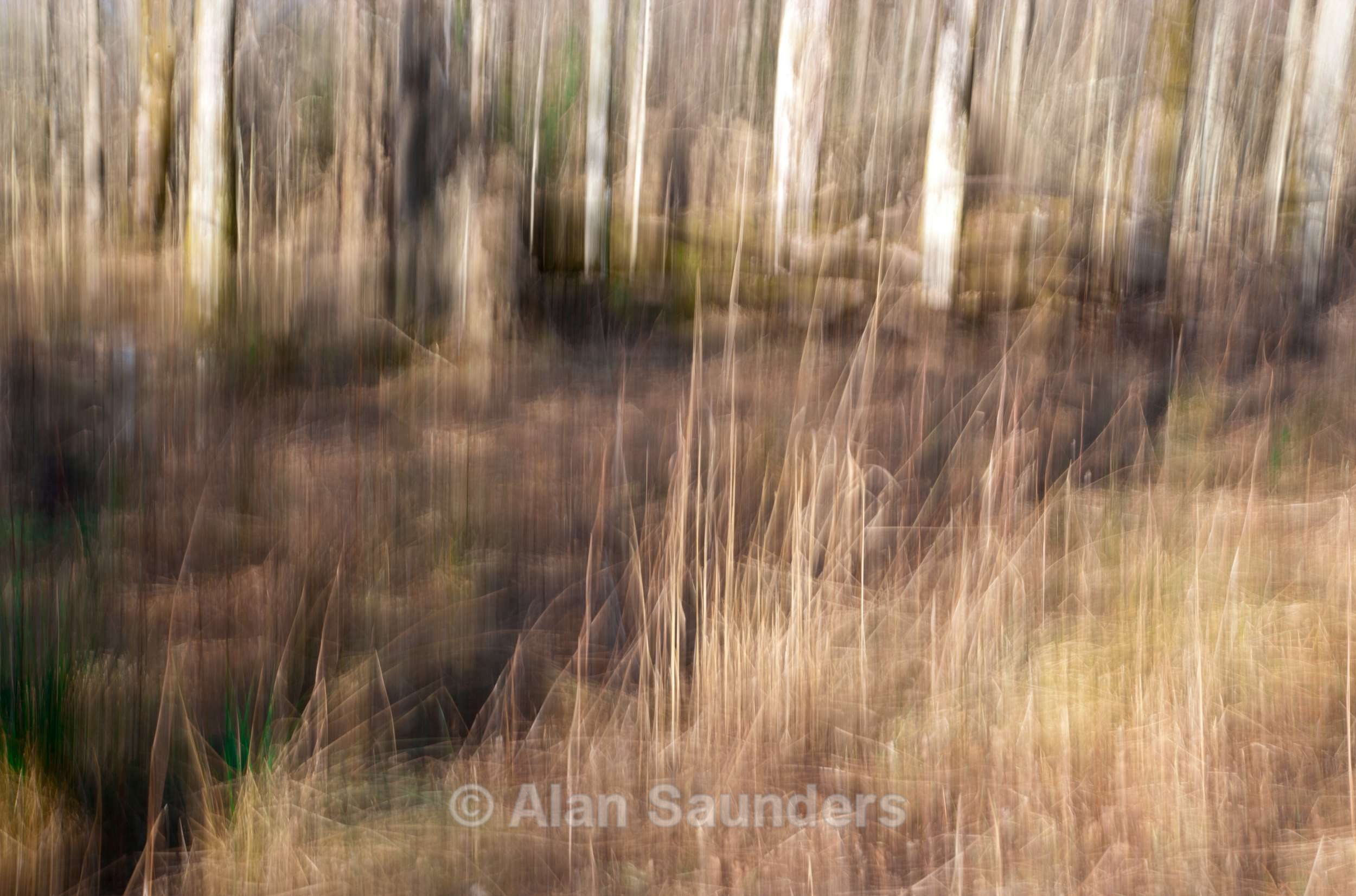 ICM 2