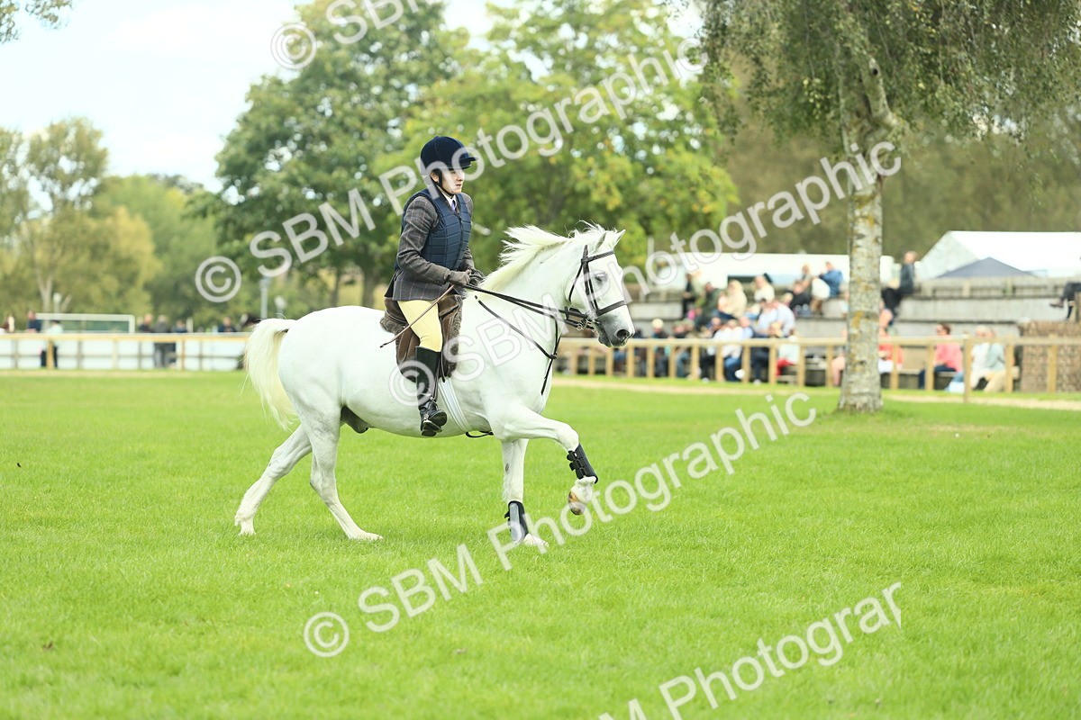 SBM_42792 - S30 - M&M Working hunter Pony