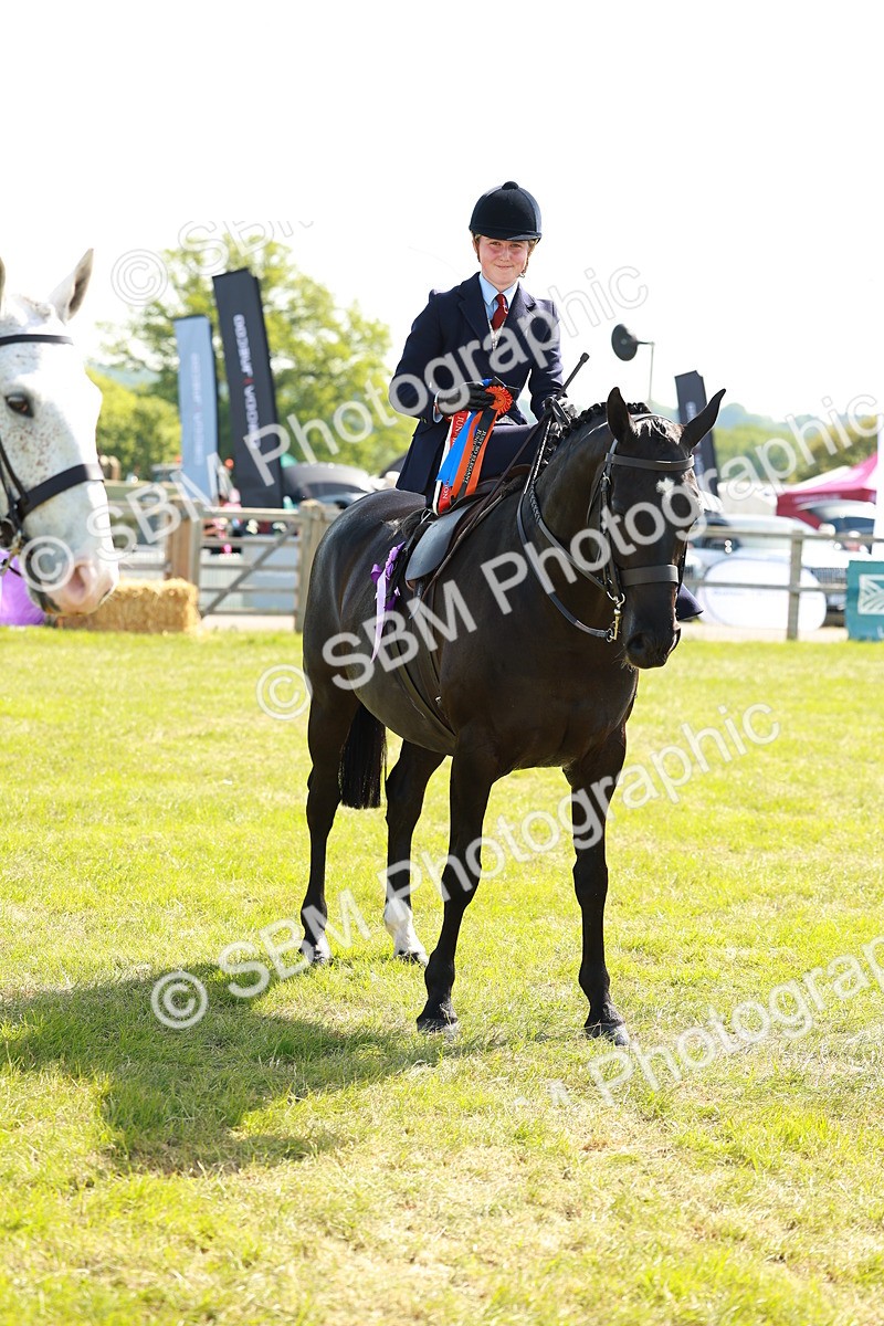 SBM_13261 - Class 70-71 - Side Saddle