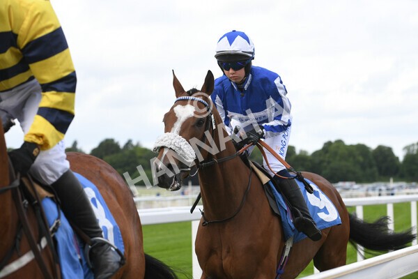 yr11062022r2-24 - Race 2 2.00pm Queen Mother's Cup