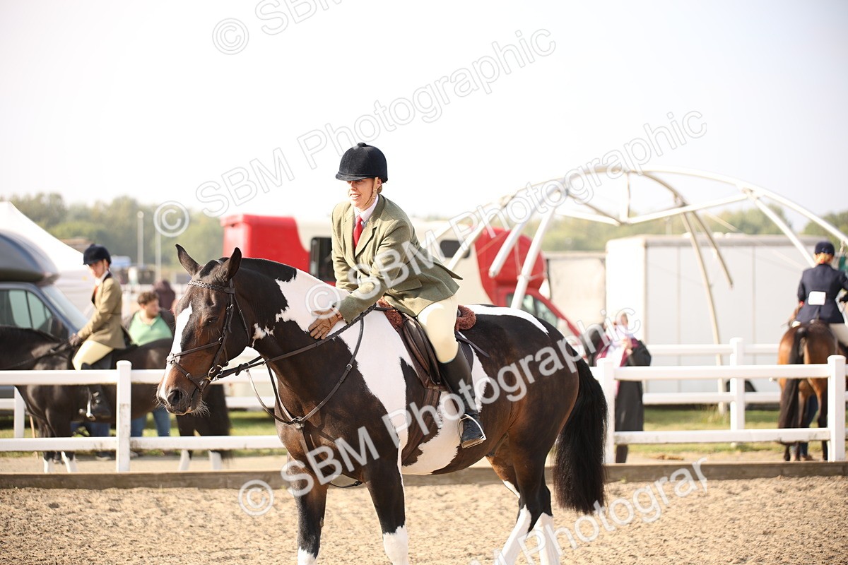 SBM_10243 - Class 402 Riding Club Horse