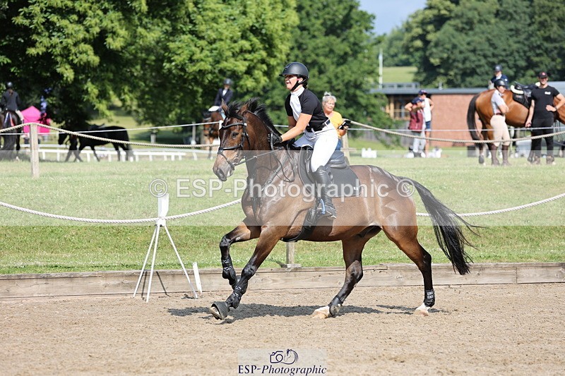 250614A-094541-05400 - Cls 26 British Novice and 90cm Open