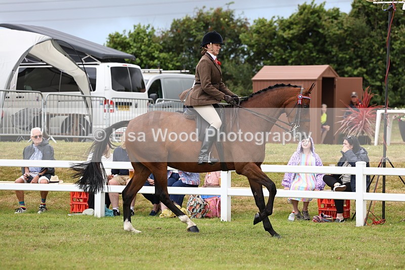 3E7A0921 - Class 8: Open Riding Horse/Hack