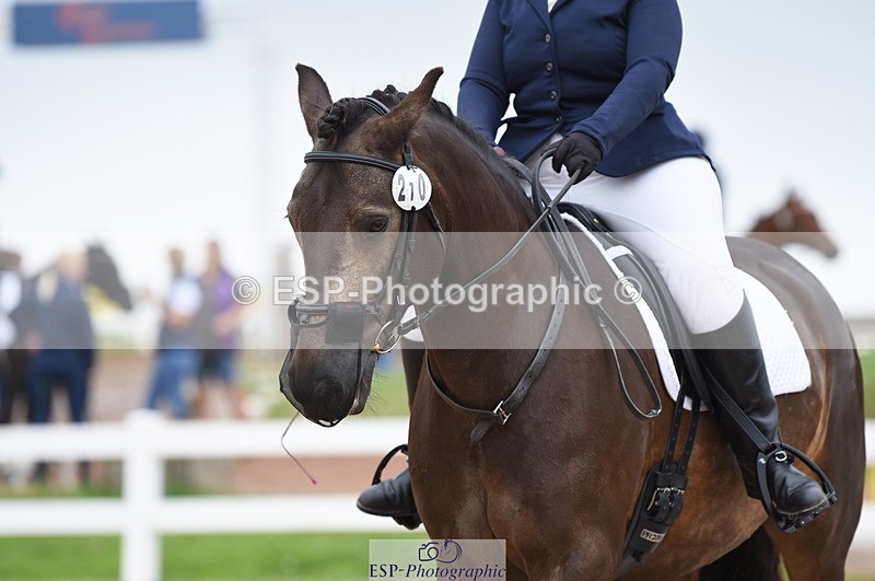 230708A-113724-01621 - Prelim 7