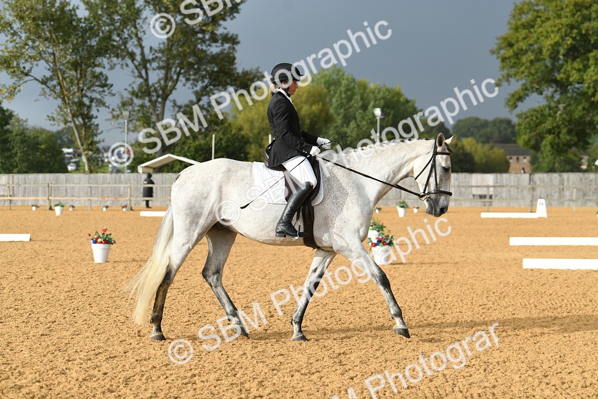 SBM_11149 - D28 Elementary Taster Elementary 42