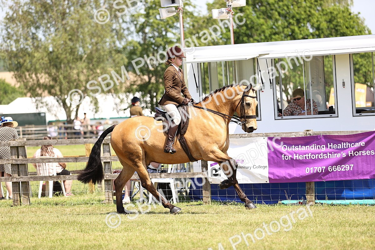 SBM_15075 - Class 79-80 - LIHS BSHA Rising Star Ridden Hunter