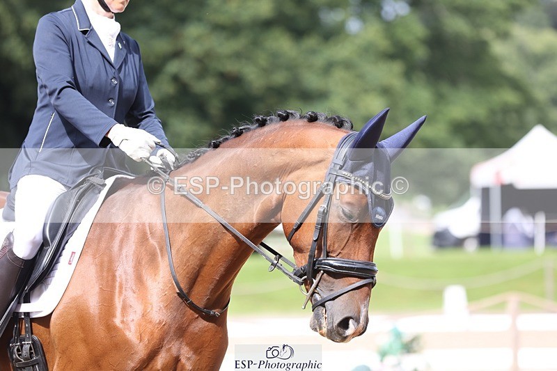 230812-104255-03325 - Cls 5 Novice Bronze Start to 10.55 break