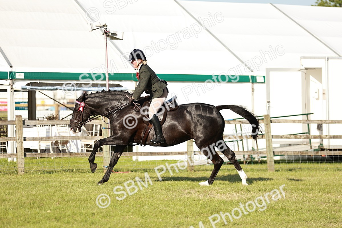 SBM_20114 - Class 115-116 - LIHS BSHA Rising Star Working Hunter & Show Horse