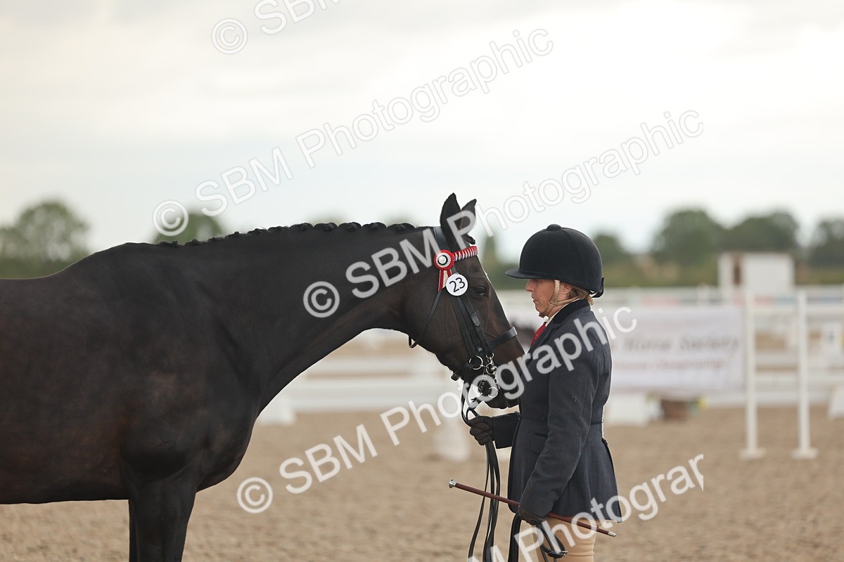 SBM_07673 - Class 26 - IH Foreign Breeds - Part Bred