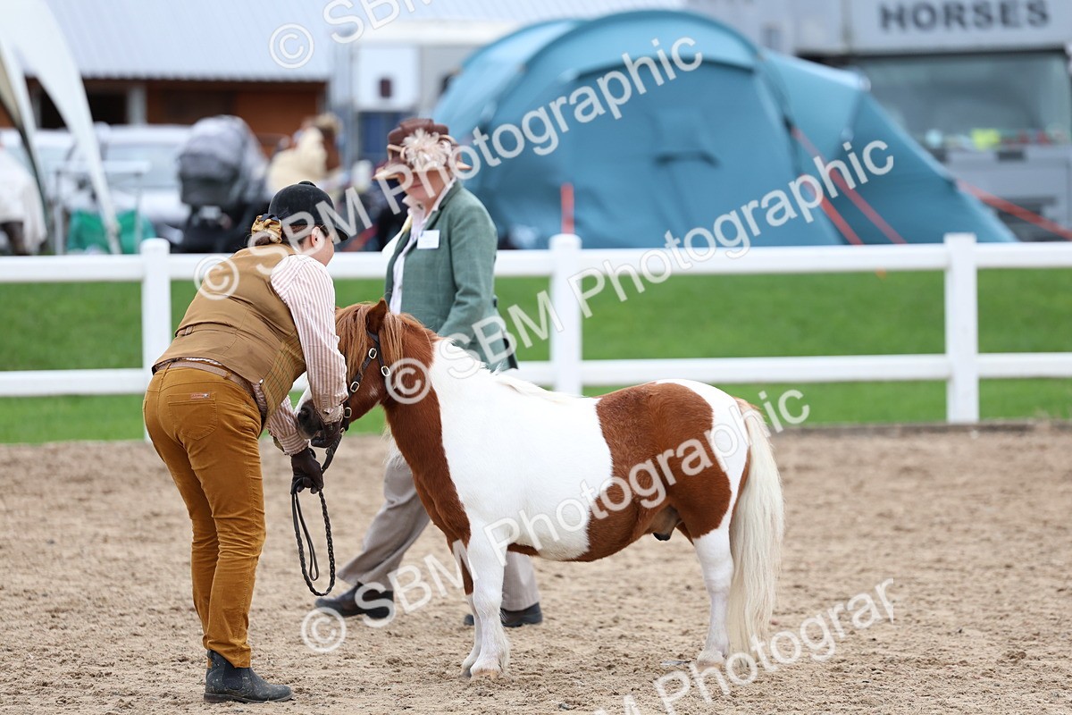 SBM_05907 - Class 29 - IH Veteran Pony