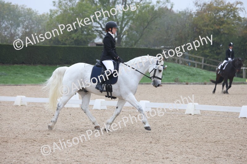 20251012-0410 - Class 3 - Novice 5