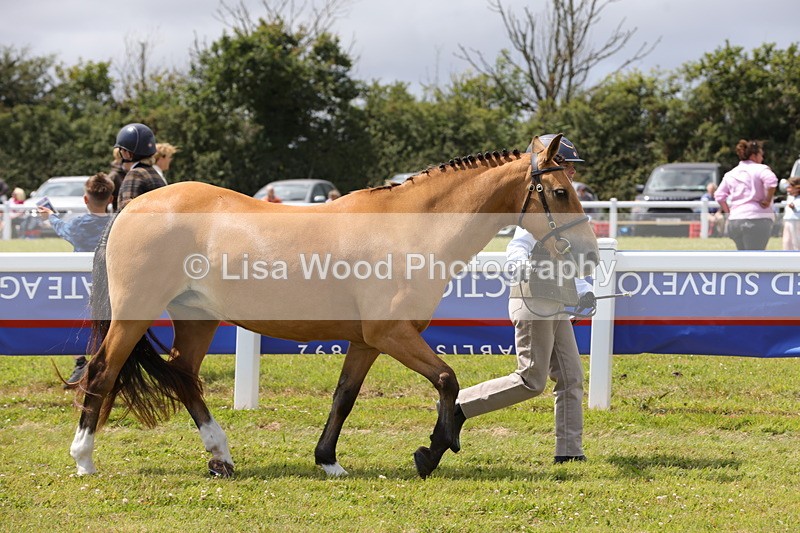 1X9A4896 - Class 35: Veteran In Hand