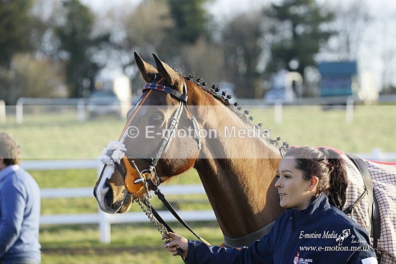 PtP 270222 670 - South & West Wilts Point-to-Point Larkhill 27/02/22