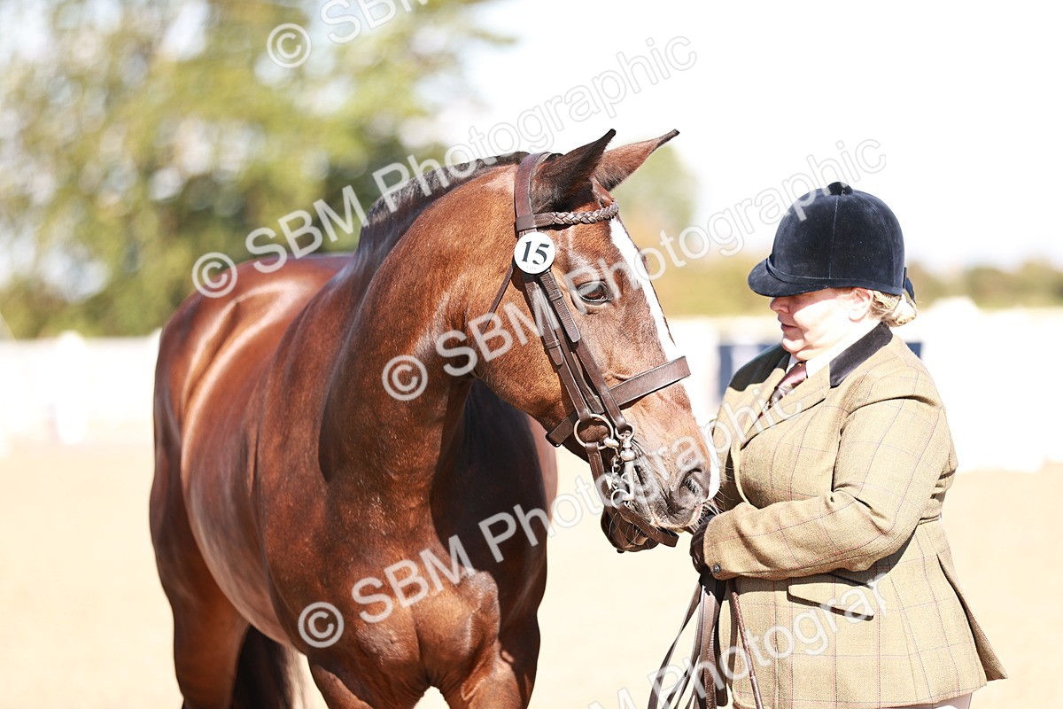 SBM_13249 - Class 405 - IH Show Cob