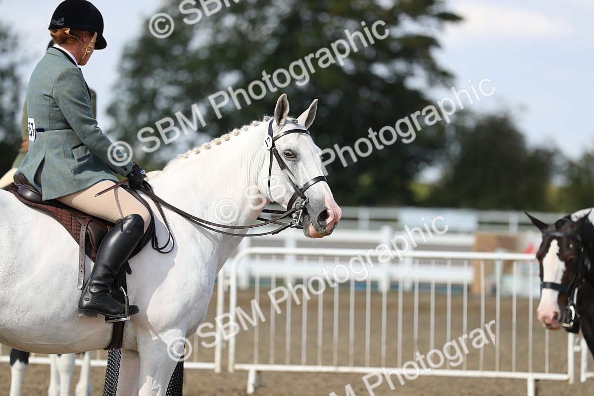SBM_03255 - Class 44 Riding Club Horse/ Pony