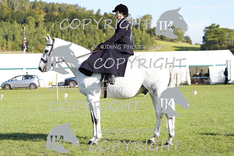 _DSC9461 - Class 8 & 17 Ridden Hunter & Ridden Hunter Pony