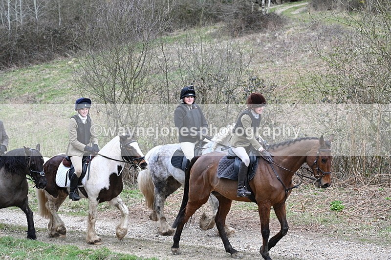 WJ7_7394 - Walk Home