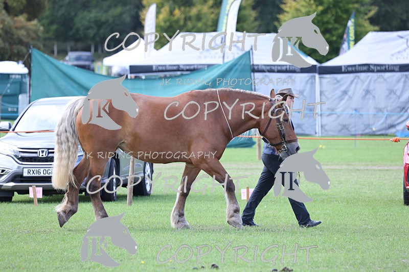 APP_3328 - Class 4 Veterans