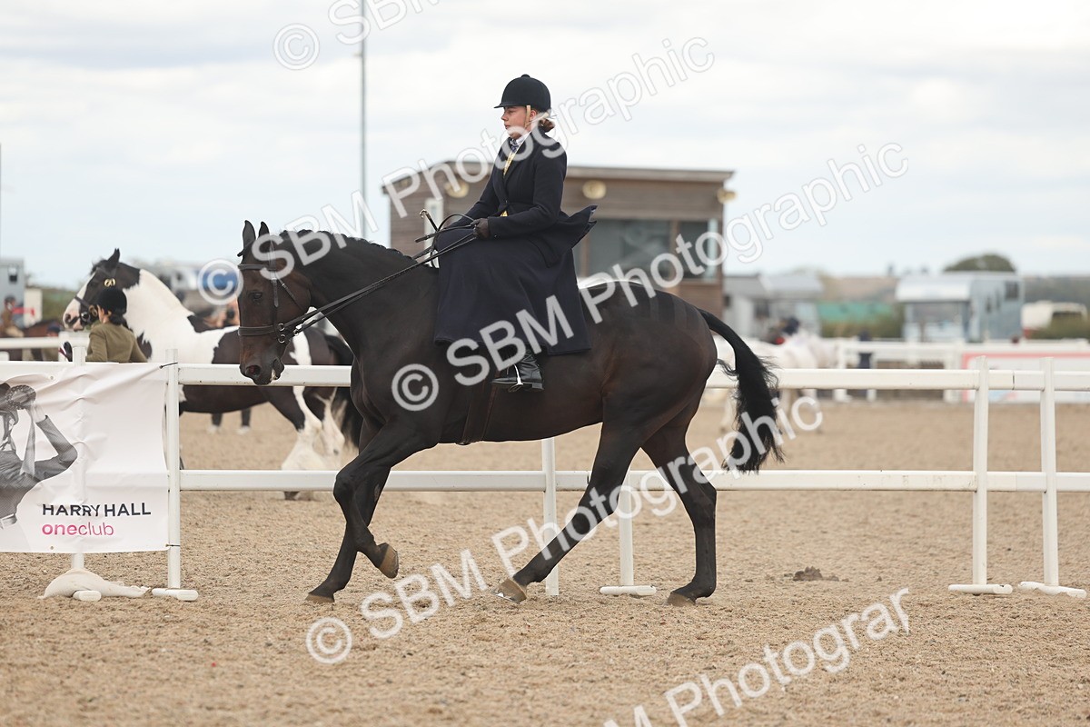 SBM_18147 - Class 315 - Best Horse-Rider Combination