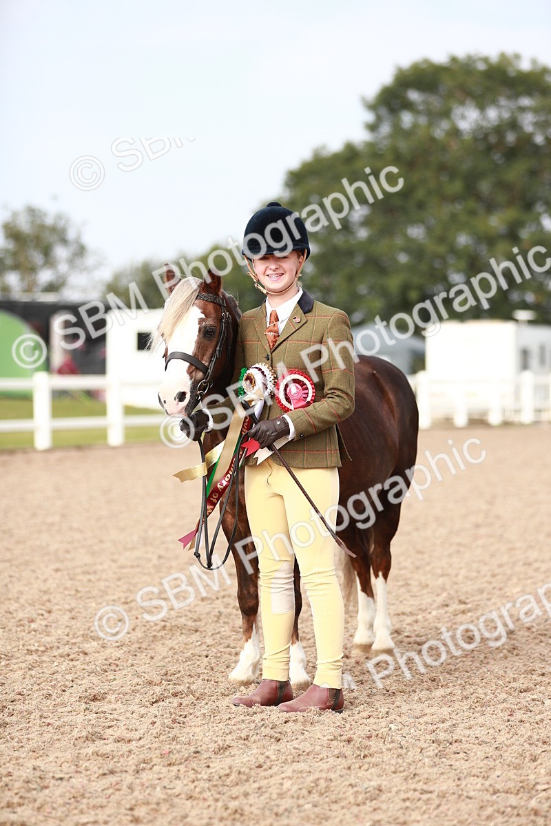 SBM_10619 - Class 204 Young Handler, 11-16 years